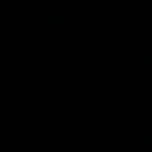 Meet your Posher, Annelise